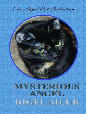 cover image of Mysterious Angel